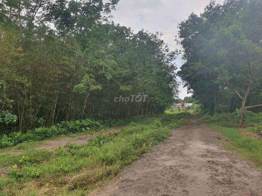 Bán đất An Nhơn Tây - Củ Chi