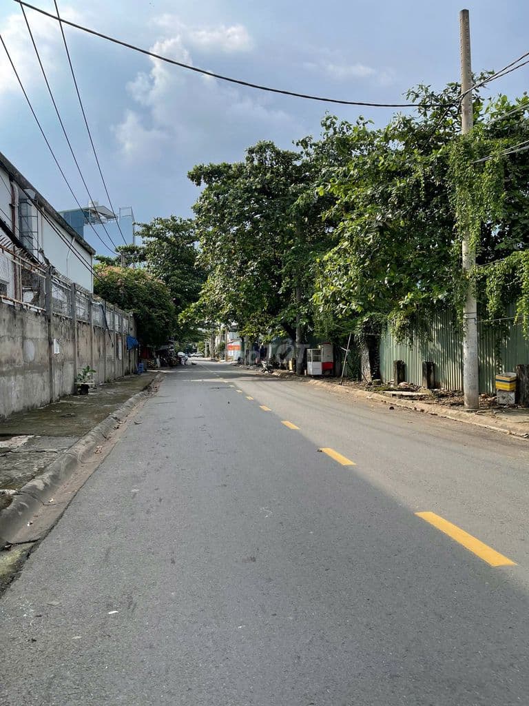 Bán Đất An Phú An Khánh, Q2, Thủ Đức. 10m x 16m=160m, Đ14m, H.N, 200tr - Ảnh 3