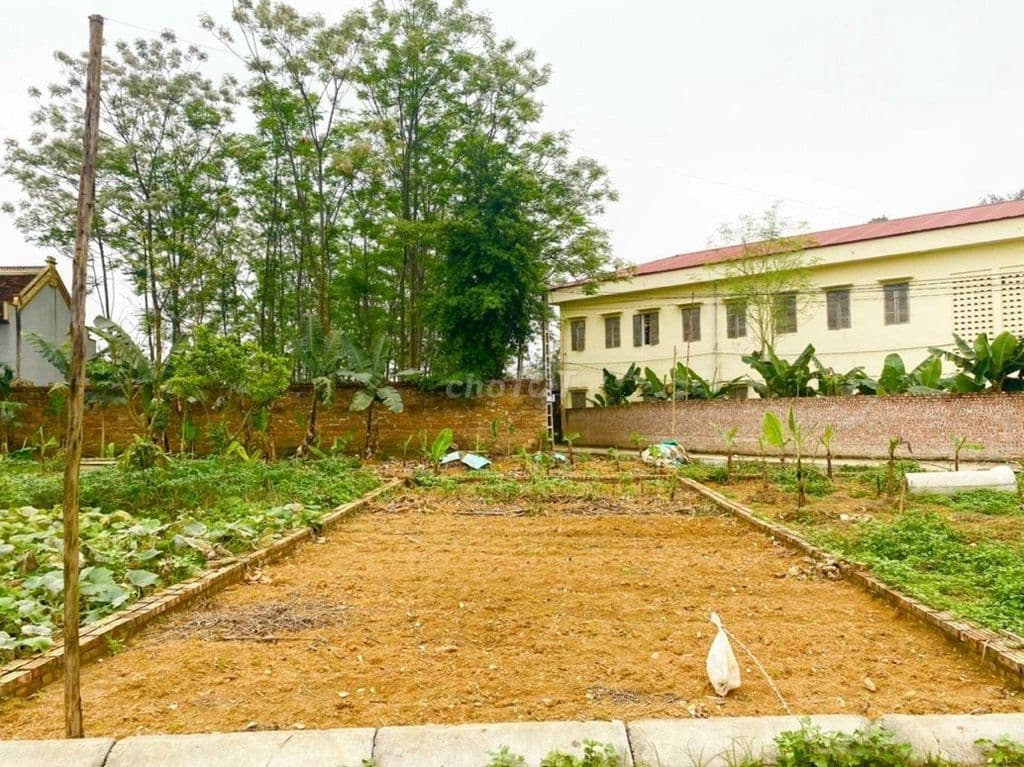 Bán 70m² Xuân Khanh gần cụm trường ĐH-chỉ từ 1 tỷ mua xây trọ cực đẹp - Ảnh 2