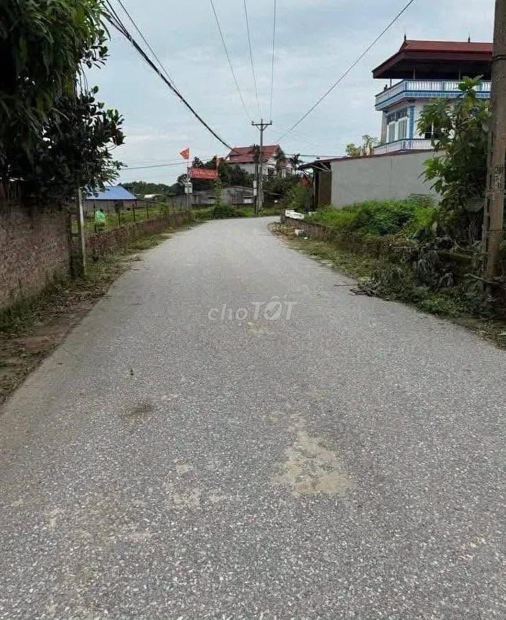 Bán đất Xuân Đồng, Sóc Sơn, Trục chính kinh doanh - Ảnh 2