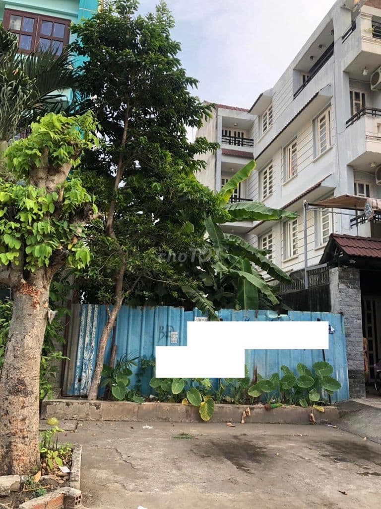 Đất biệt thự 6x25m, mặt tiền Trần Thị Ngôi, P.4, Q.8 - Ảnh 3