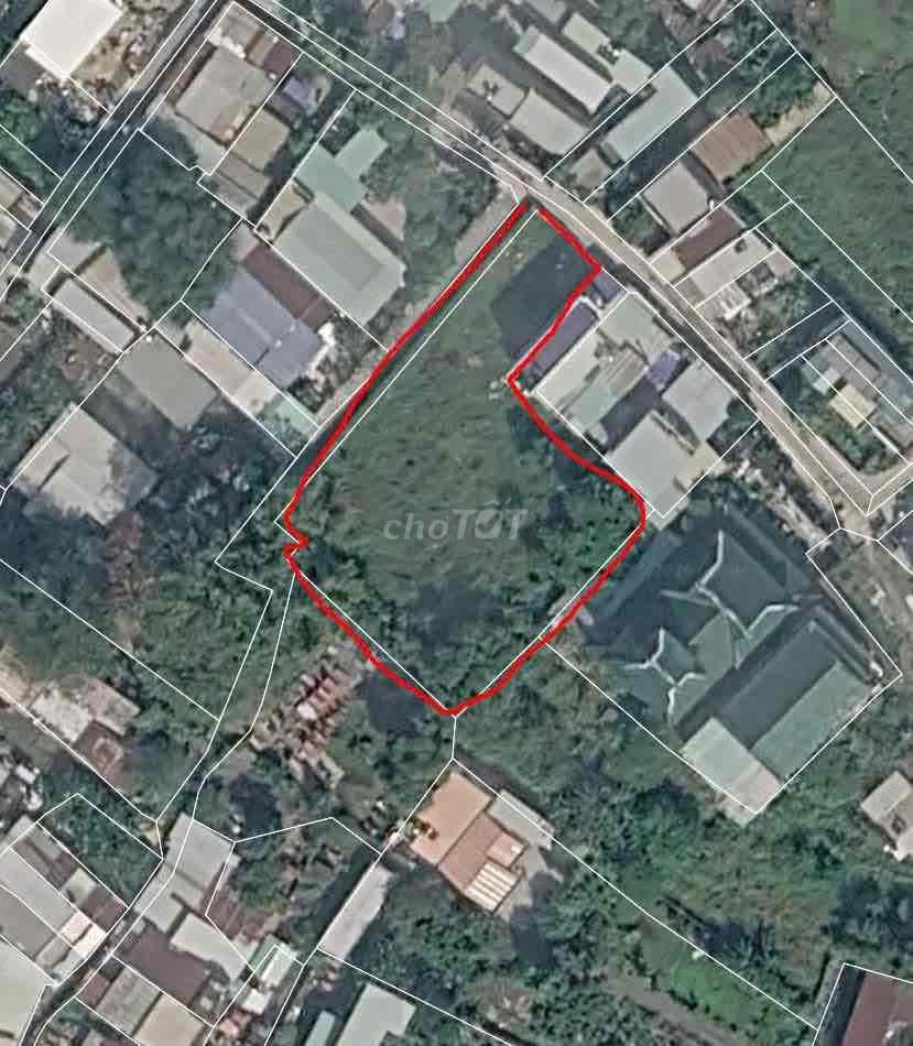 Bán đất Hóc Môn giá tốt, sổ riêng, xây dựng tự do - Ảnh 3