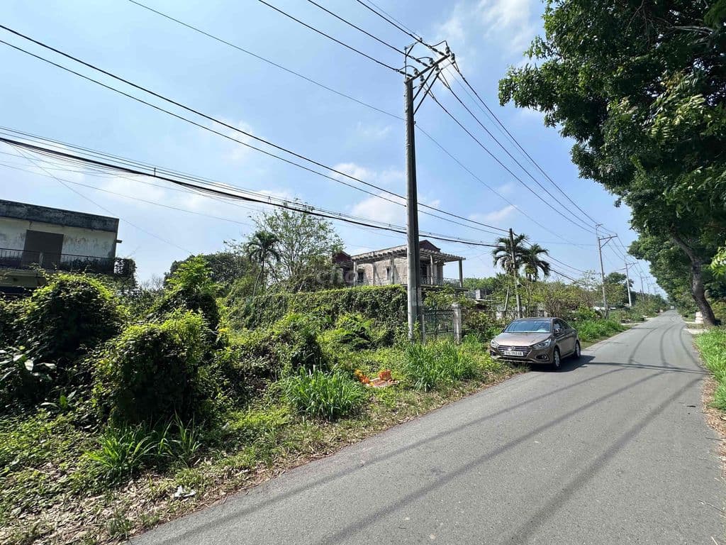 Bán đất 1867m2 300m2 thổ 2MT (9 - 21m), 12,5 tỷ tại Bàu Lách, Củ Chi, - Ảnh 3
