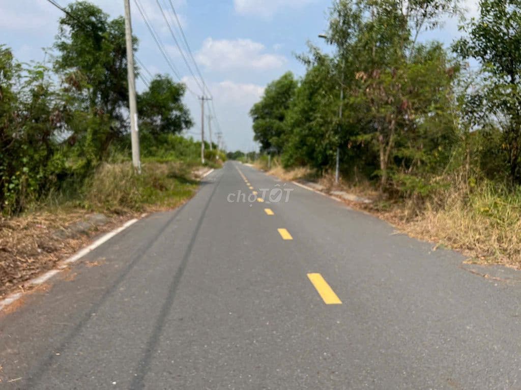 Mặt tiền đường Nguyễn Thị Lèn, dt 325m2, full thổ, xã Trung An - Ảnh 3