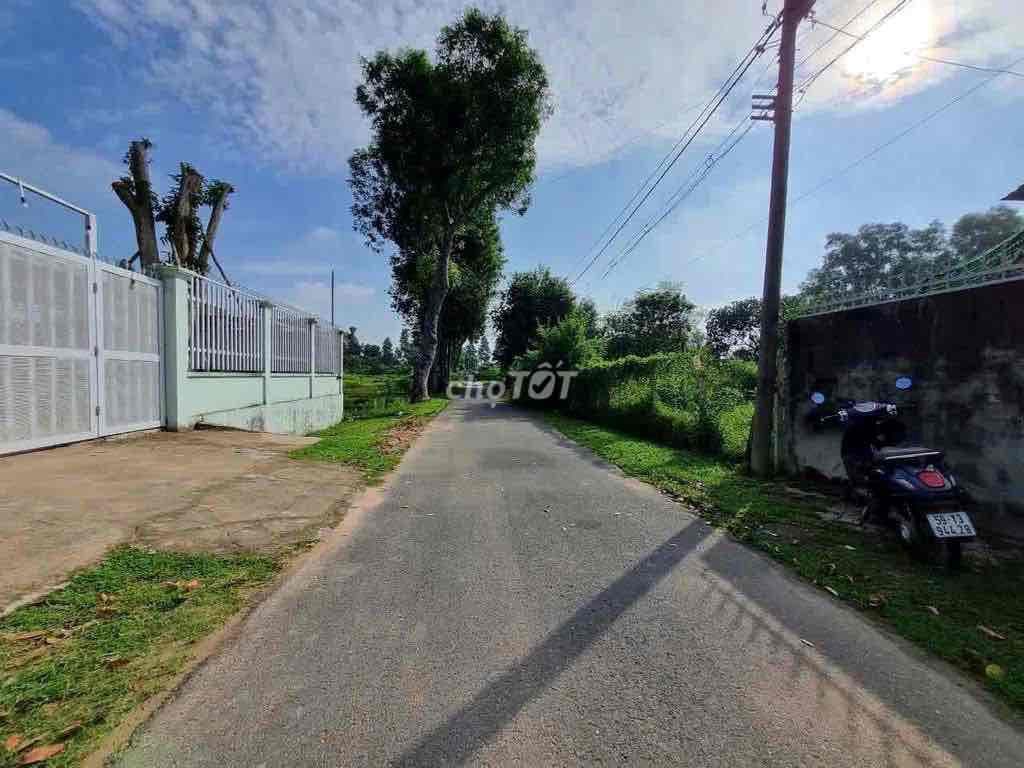 Sáng cafe chiều tưới cây khi sở hữu ngay lô mặt tiền thị trấn Củ Chi - Ảnh 2