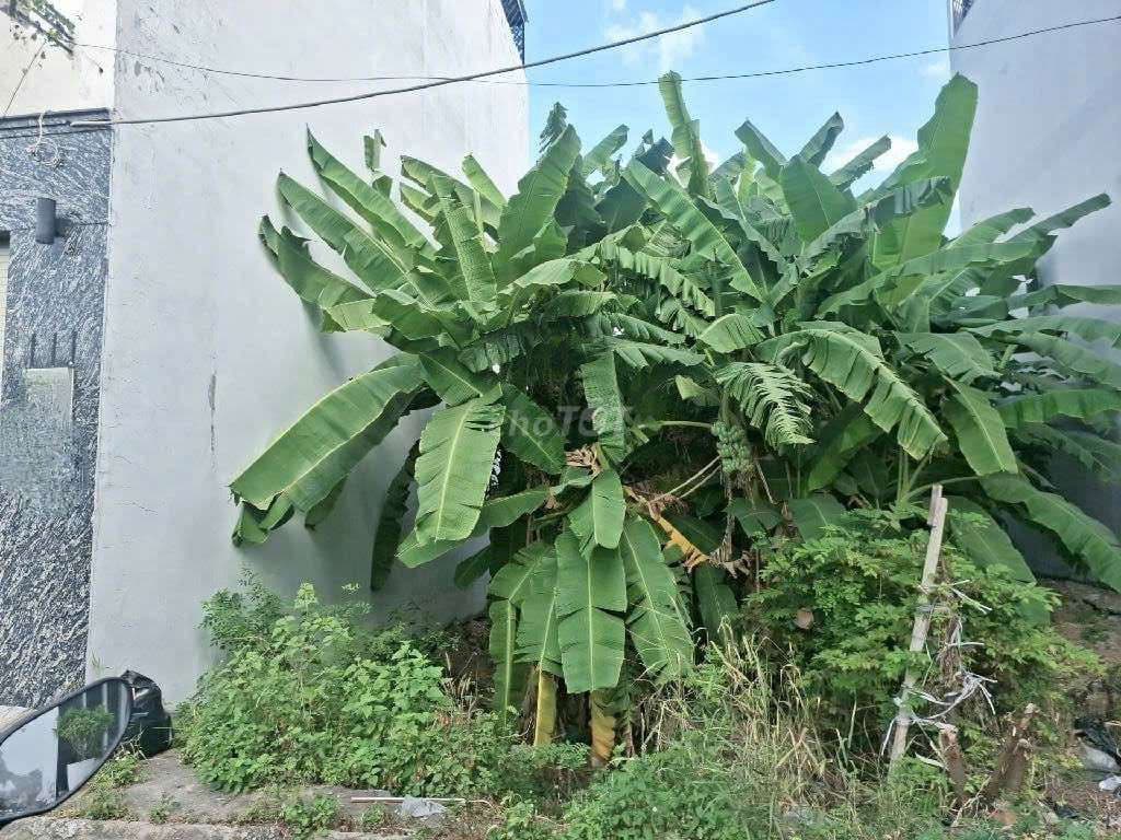 BÁN đất Full thổ cư đường xe hơi huỳnh tấn phát nhà bè - Ảnh 2