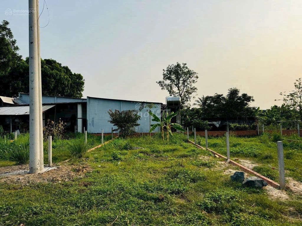 Đất 115m2 giá 1,3 tỷ đường Giồng Cát Tân Phú Trung Củ chi sổ riêng