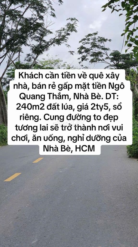 Chủ kẹt tiền bán lỗ lô đất MT Ngô Quang Thắm, Nhà Bè