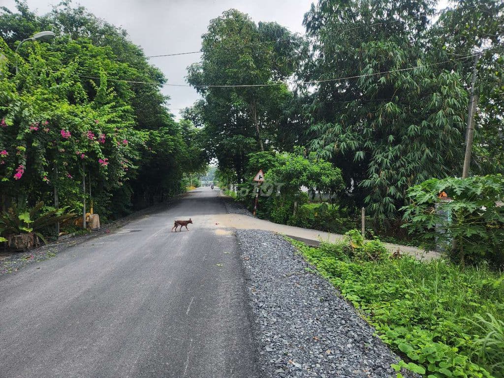 Bán 1ha đất Xã Phú Hòa Đông, Mặt tiền nhựa,
