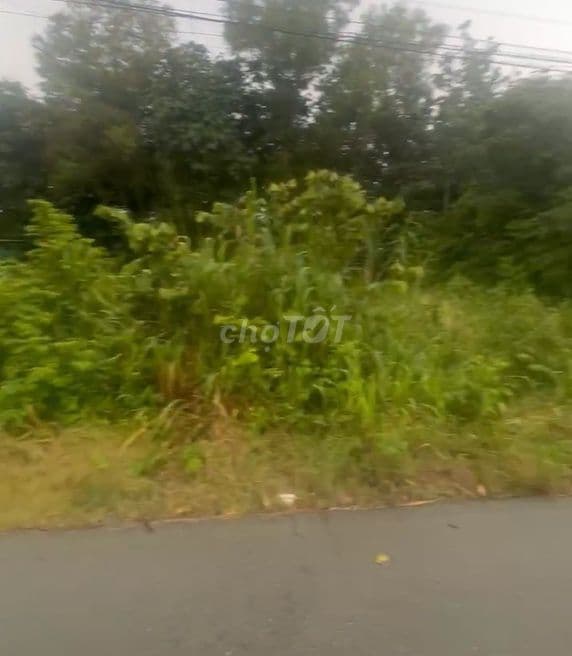 Giảm sâu, mt nhựa Nguyễn Thị Chiếu, dt 576,5m, có 188m thổ, xã An Phú - Ảnh 3
