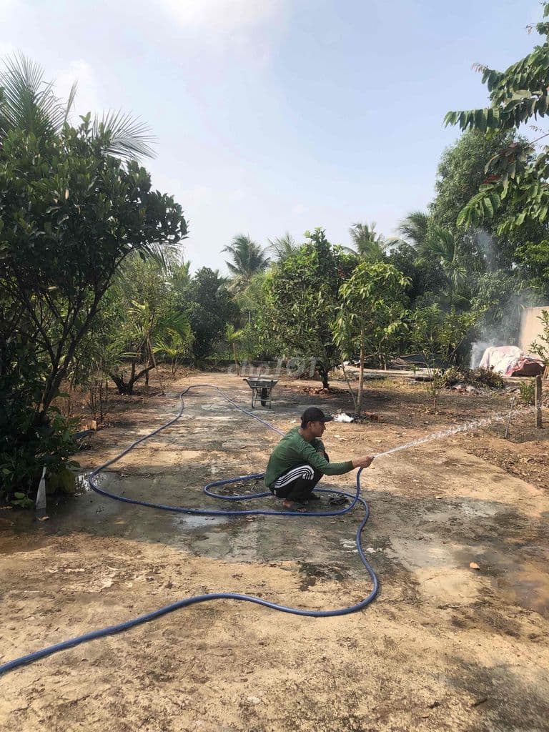 Bán nhà Vườn Rạch Bình Thuận gấp!!!! - Ảnh 2