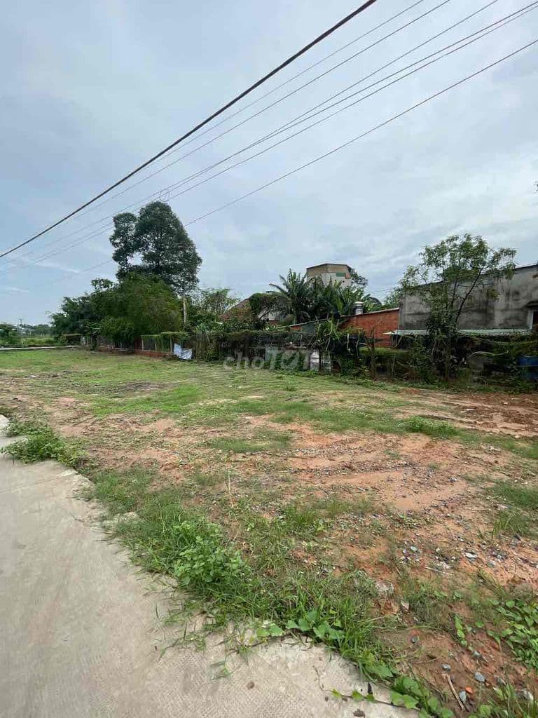Bán đất xã Tân An Hội, kế bên Sư Đoàn 9, full thổ cư, giá 1 tỷ 190 - Ảnh 3