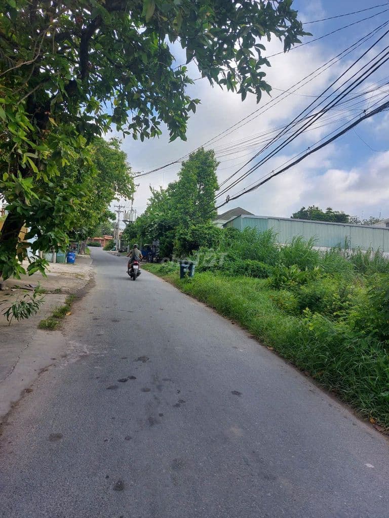 545 TRIỆU SỞ HỮU NGAY 155m² ĐẤT CỦ CHI - CƠ HỘI CHO NGƯỜI NHÌN XA - Ảnh 3