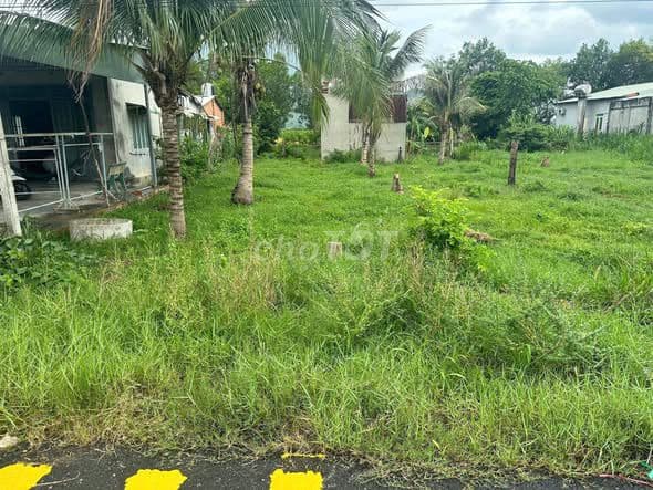 Bán đất tại Xã Tân Thông Hội, giá cực chất 895 tỷ, 185 m2 - Ảnh 3