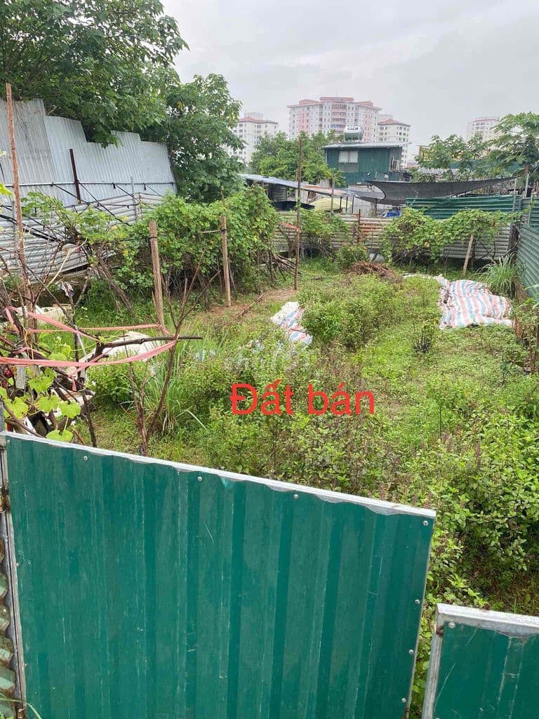 Nhỉnh 15tr/m có ngay thửa đất ven hồ định công-gần ô tô-150m; mt8m