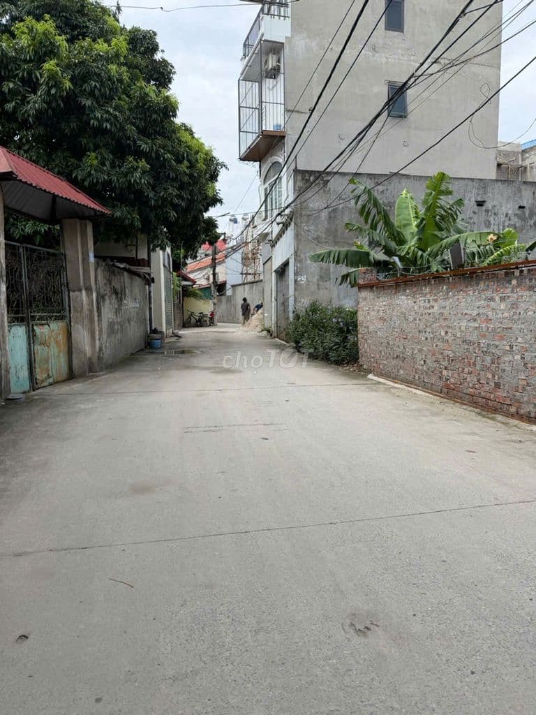 Bán 61m² đất Gia Trung - Quang Minh, ô tô tránh , 100m ra Võ Văn Kiệt - Ảnh 3