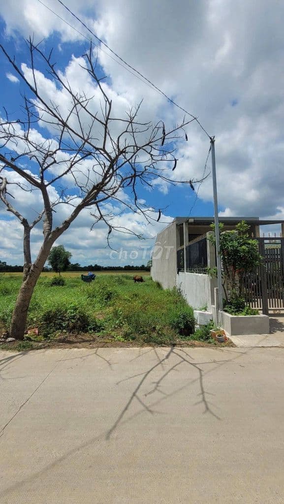 ĐẤT BÌNH CHÁNH GIÁ RẺ 98M2/1,15 TỶ. GẦN CHỢ BÁN GẤP CÓ BỚT LỘC