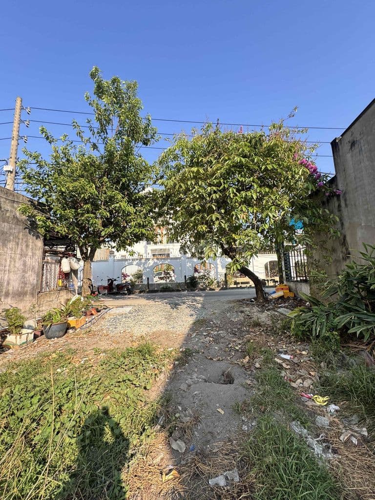 Đất Gần Quận 12 Diện Tích 8 x 38 Shr 306m2 - Ảnh 3