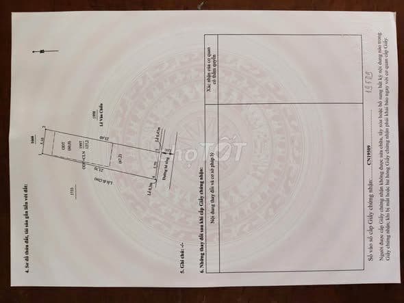 bán đất Phú Mỹ 1 gần Huỳnh Văn Luỹ giá tốt - Ảnh 3
