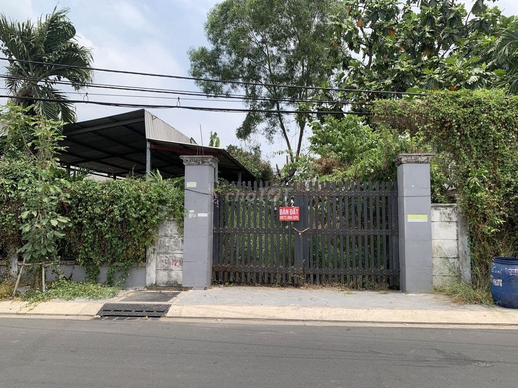 CHỦ CẦN SANG GẤP DO ÁP LỰC TÀI CHÍNH NGAY TÂN PHÚ TRUNG CỦ CHI