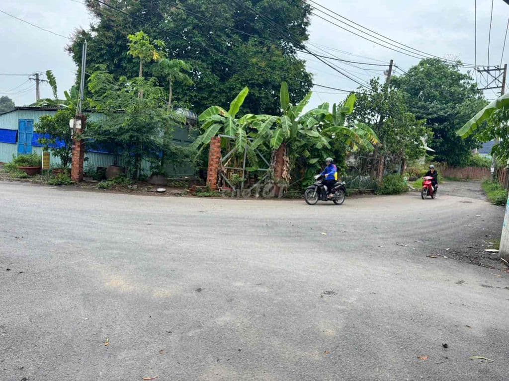 🔥 1,8 tỷ (TL) - 90 m2 (ngang 5M x dài 18M) Sổ hồng riêng - vuông vức - Ảnh 2