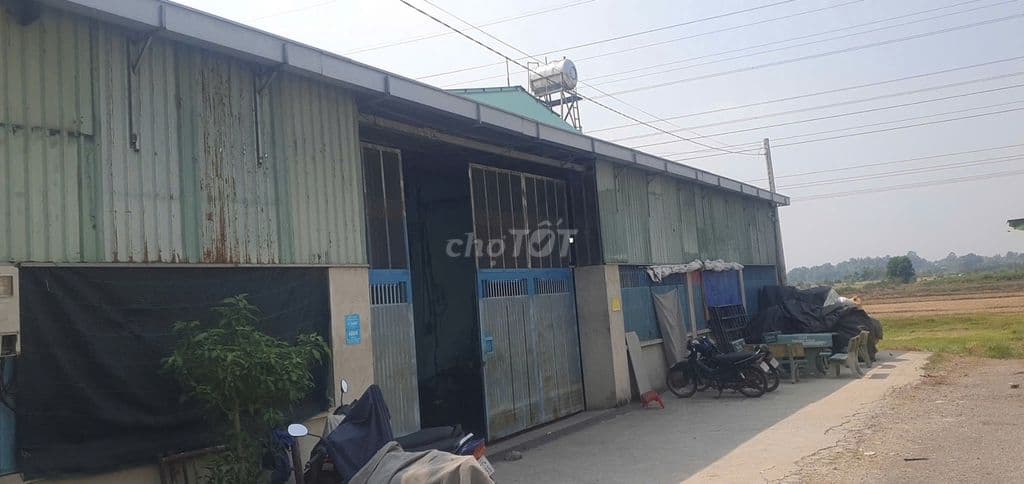 Bán nhà xưởng - tỉnh lộ 8 - Tân Thạnh Tây - Củ Chi - Ảnh 2