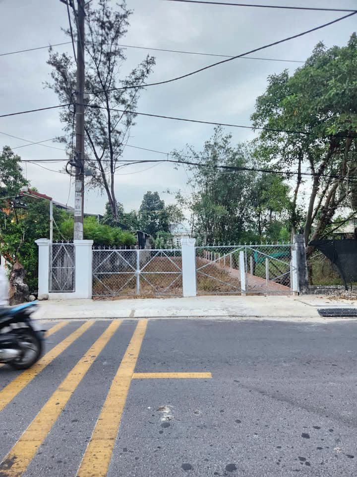 650 Triệu Sở Hữu Ngay 320m2 Đất Thị Trấn Củ Chi Gần Chợ Việt Kiều SHR - Ảnh 2