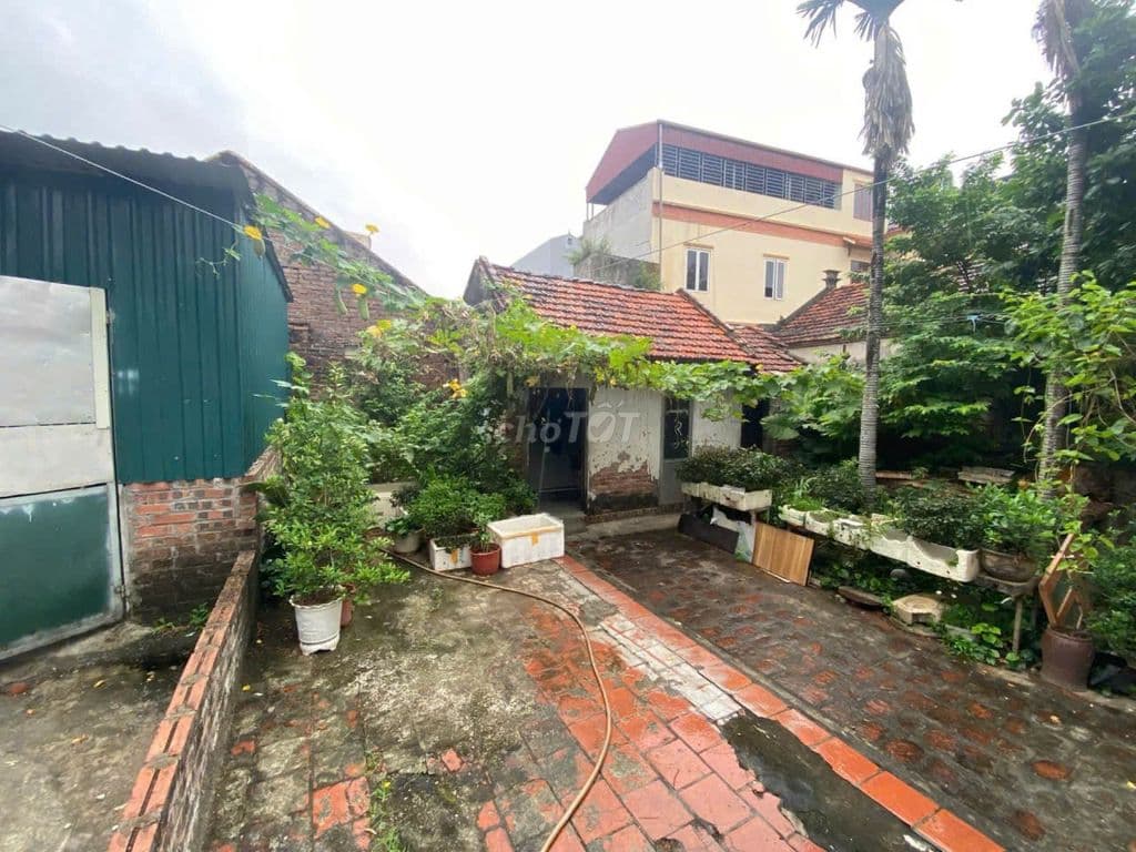 61m2 ĐẤT, GIANG XÁ, TRẠM TRÔI, HOÀI ĐỨC, XÂY Ở MUA ĐẦU TƯ, chỉ 4.9 tỷ - Ảnh 2