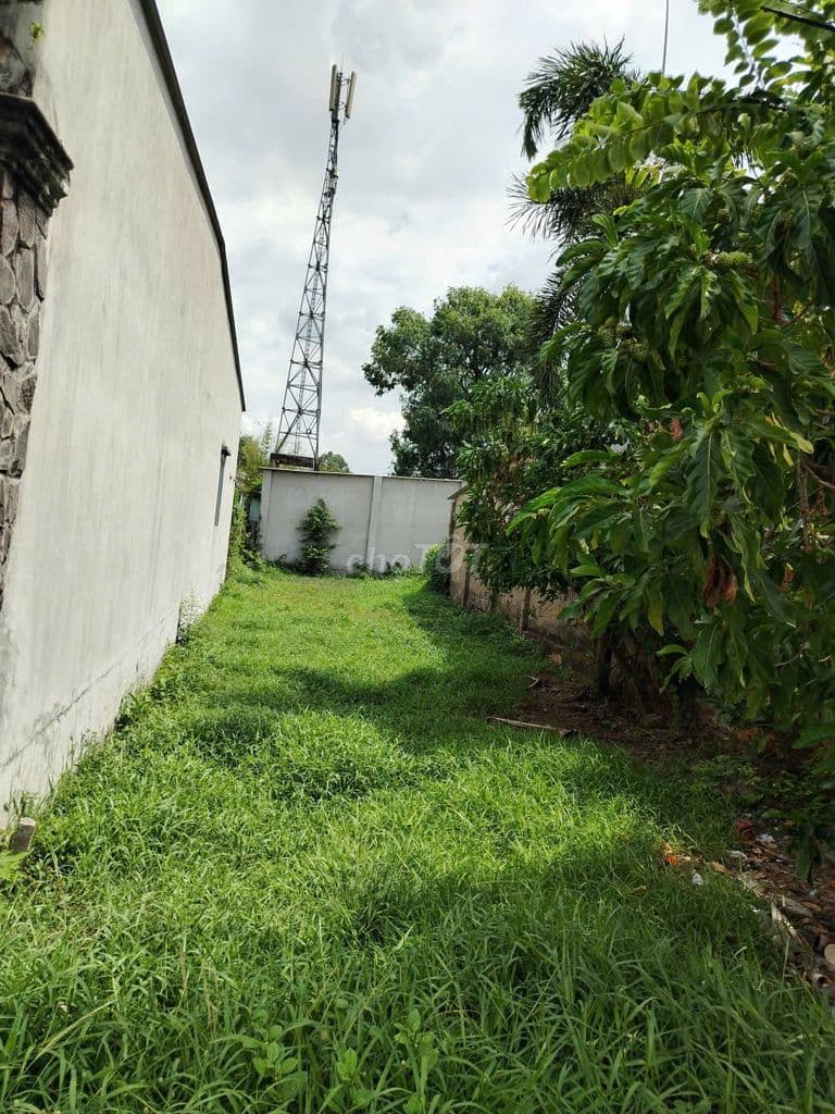Thanh lý nhanh lô đất 106m2 1tỷ3 Liêu Bình HươngTân Thông Hội Củ Chi