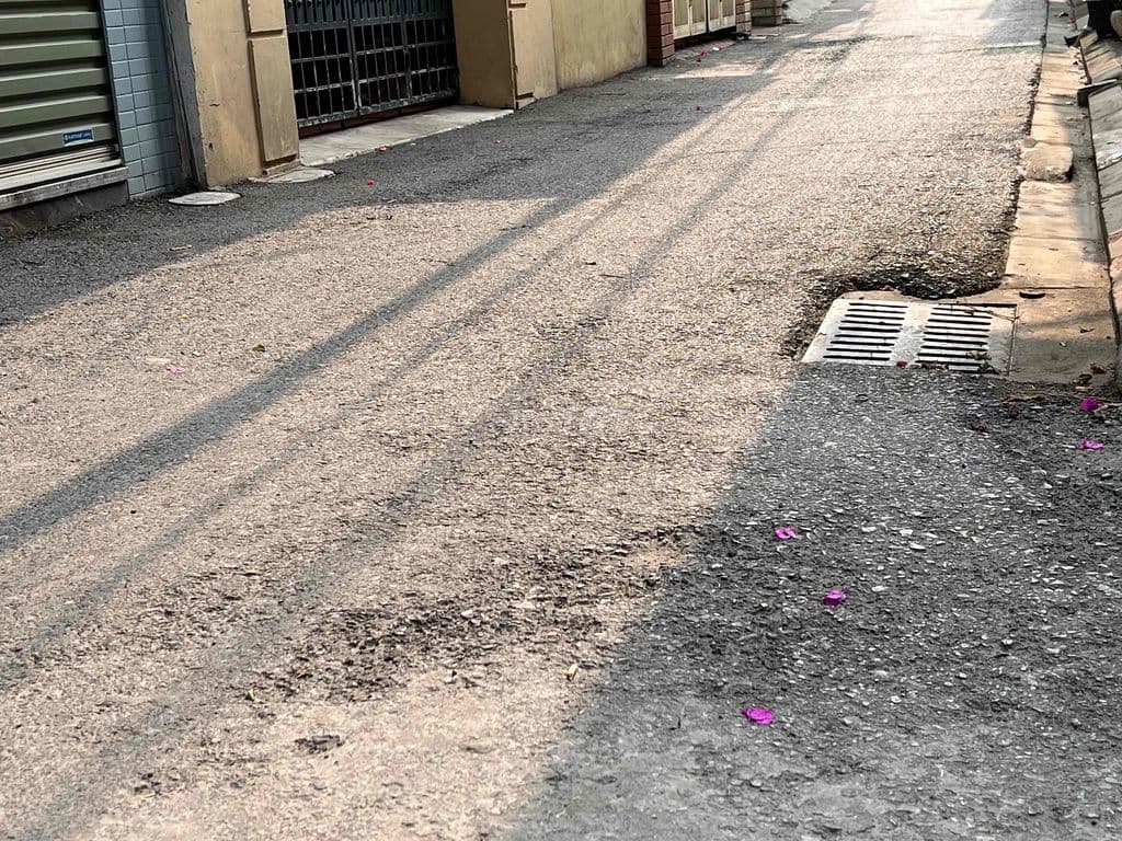 💎 ĐẤT PHÚC ĐỒNG LONG BIÊN - 55M² LÔ GÓC NỞ HẬU - GIÁ 6.X TỶ - Ảnh 3