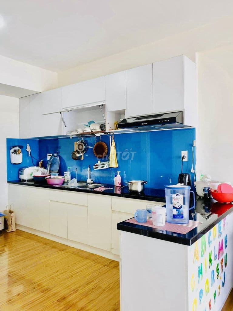 Chính chủ cần bán gấp căn hộ Flora Fuji, 55m2 1+1PN Full NT đã có sổ - Ảnh 2