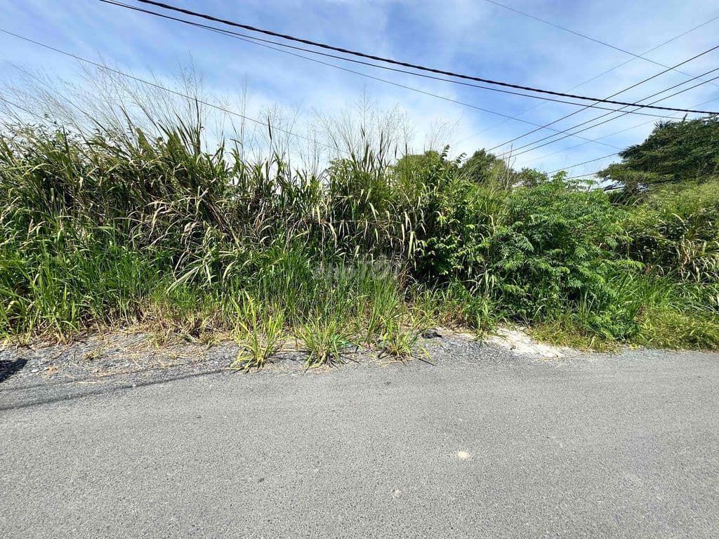 88m2, Mặt tiền nhựa Trần Văn Chẩm, xã Củ Chi, gần TL8 100m - Ảnh 3