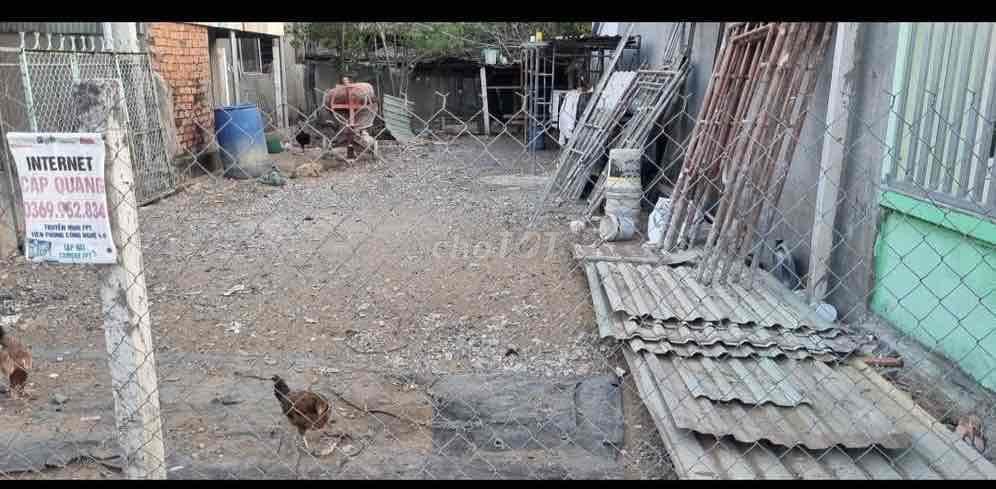 Bán nhà yến đang thu hoạch ở bình khánh, 308m2 giá tốt