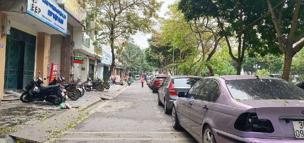 HÀNG HIẾM TĐC LONG BIÊN – VIEW CÔNG VIÊN, VƯỜN HOA Vị trí siêu VIP, - Ảnh 2