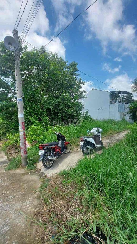 chủ ngộp cần bán gấp 2 miếng đất ấp 3 tân qúi tâu bình chánh gần 600m2 - Ảnh 3