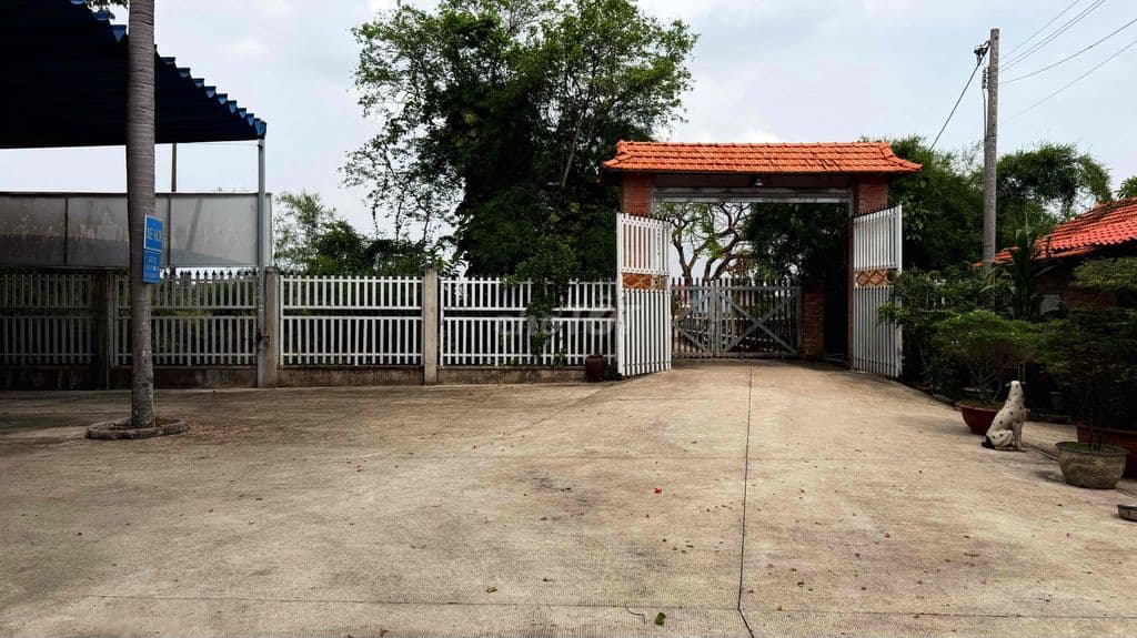 Bán gấp khu đất du lịch(cánh đồng hoa thiên thai) 10.000m2 - Ảnh 2