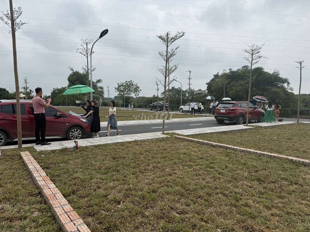 LÔ ĐẤT ĐỒNG TRẠNG CỔ ĐÔNG 100M FULL THỔ CƯ MẶT TIỀN 6M GIÁ 2,95 TỶ - Ảnh 3