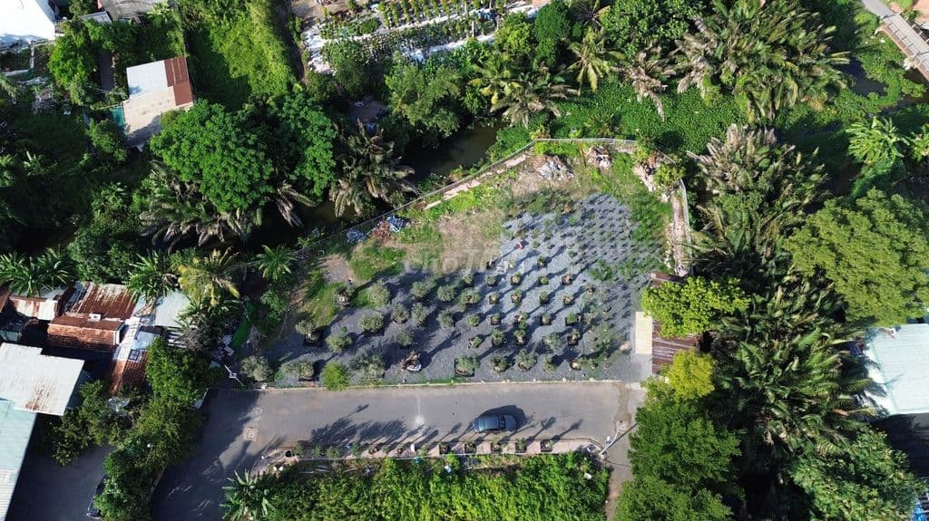 đất ngay vành đai 2, liền kề đại lộ phạm văn đồng, TT Thủ Đức. - Ảnh 3