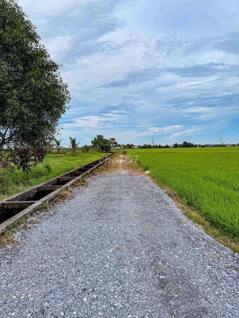 đất Củ Chi xã Trung Lập Thượng , Thái Mỹ mới - Ảnh 2