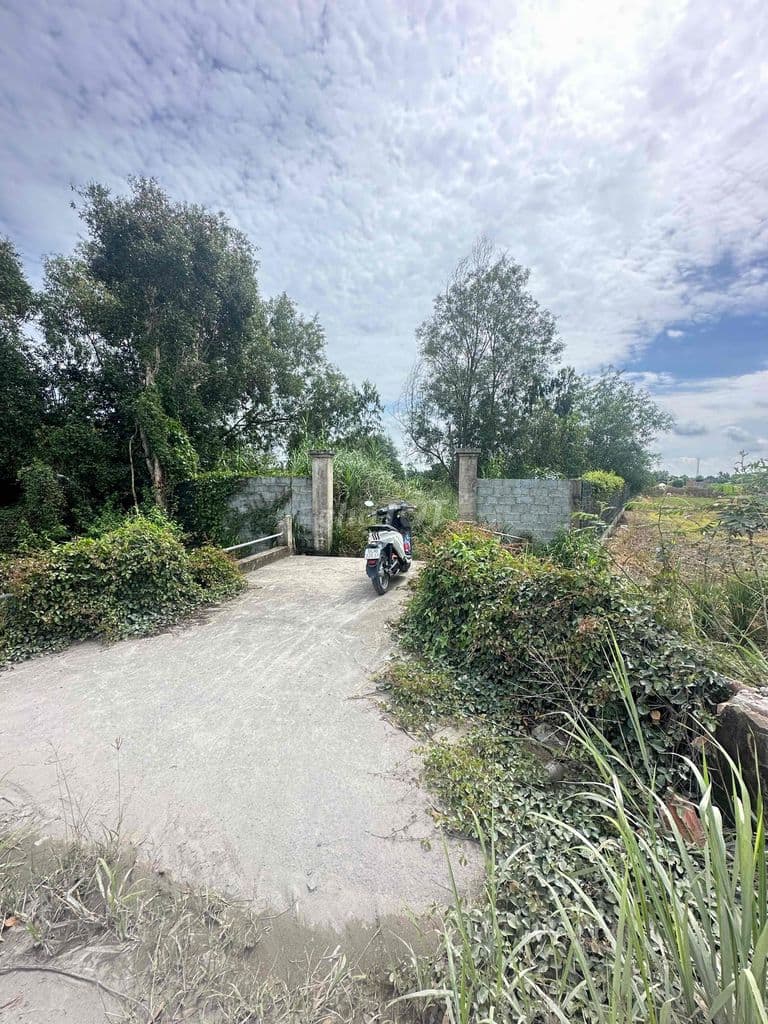 bán đất vườn đường bà tỵ tân nhựt Bình Chánh - Ảnh 2