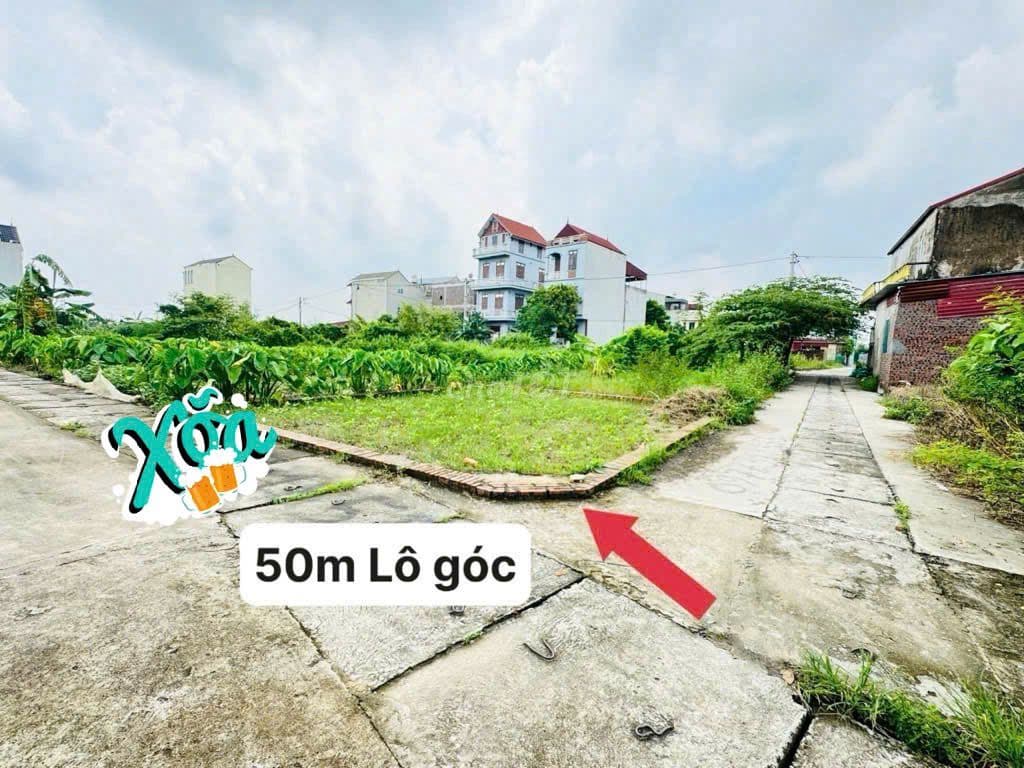 🌈✨️Lô Góc 50m2 Hoa Hậu Tổ 9 Quang Minh, Mê Linh – Đường thông 🚘 tránh
