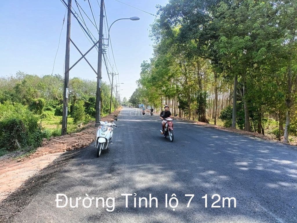 Cần bán: 5.000m2 đất vườn 2 sổ đỏ – An Nhơn Tây, Củ Chi – 6,8 tỷ - Ảnh 2