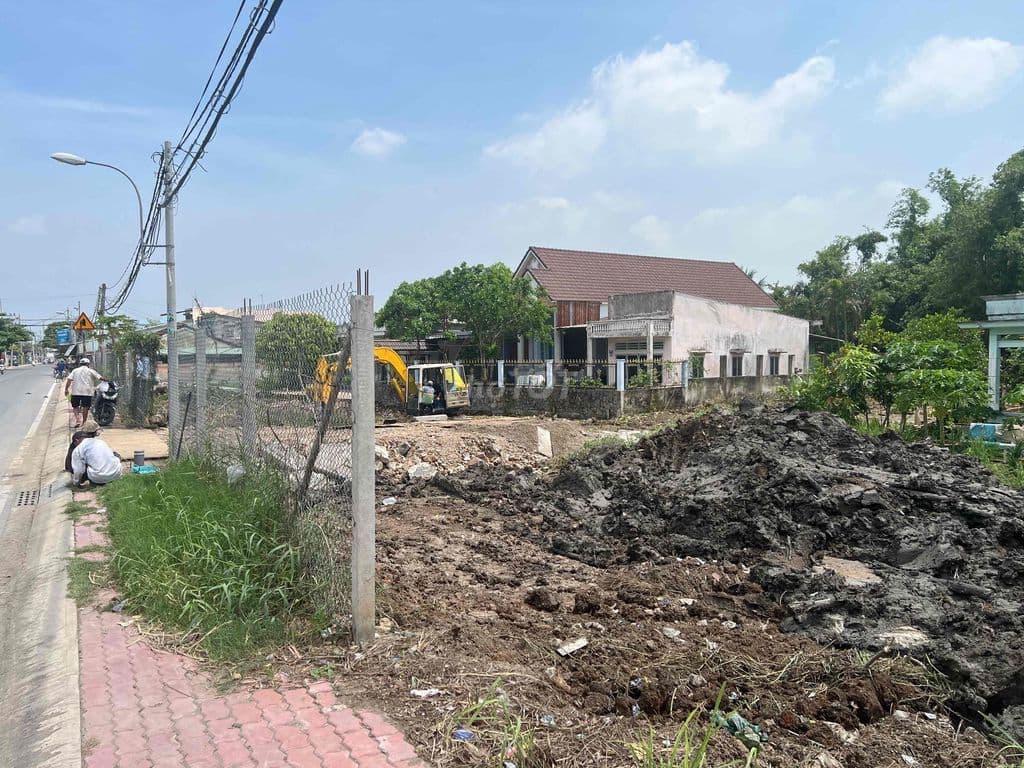 Đất ở+vườn 1243m2. Mặt tiền Đoàn Nguyễn Tuấn, Hưng Long, Bình Chánh - Ảnh 3