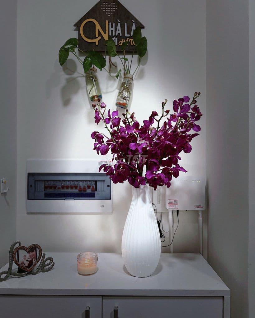 Em chính chủ cần bán nhanh căn 2PN1WC tại Mizuki Park giá 3ty8 full NT - Ảnh 3