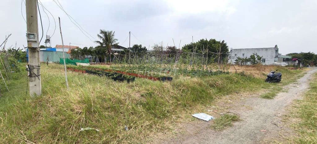 Đất trồng cây đ.Xuân Thới Sơn 26C-Hóc Môn.Dt 33x35~1161m2~14,5ty - Ảnh 3