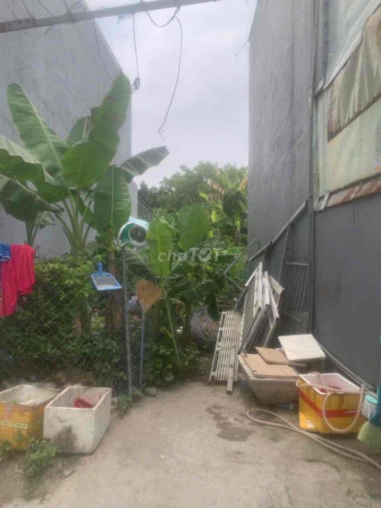 Đất SHR 4x22 giá 2,650 Tx48 Thới An Q12 - Ảnh 3