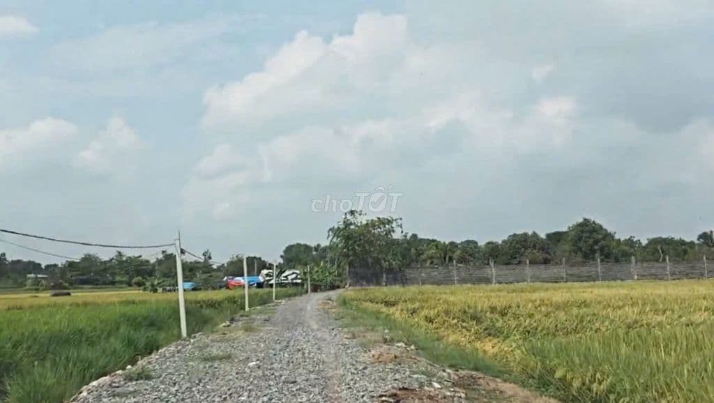 Bán đất trồng cây,quy hoạch dân cư thuộc xã Tân Phú Trung,Hồ Chí Minh - Ảnh 3