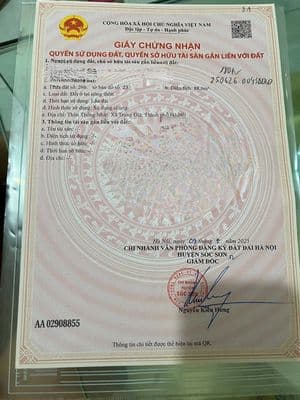 Bán đất lô góc full thổ cư Trung Giã, Sóc Sơn, Hà Nội - chỉ nhỉnh 1 tỷ - Ảnh 3