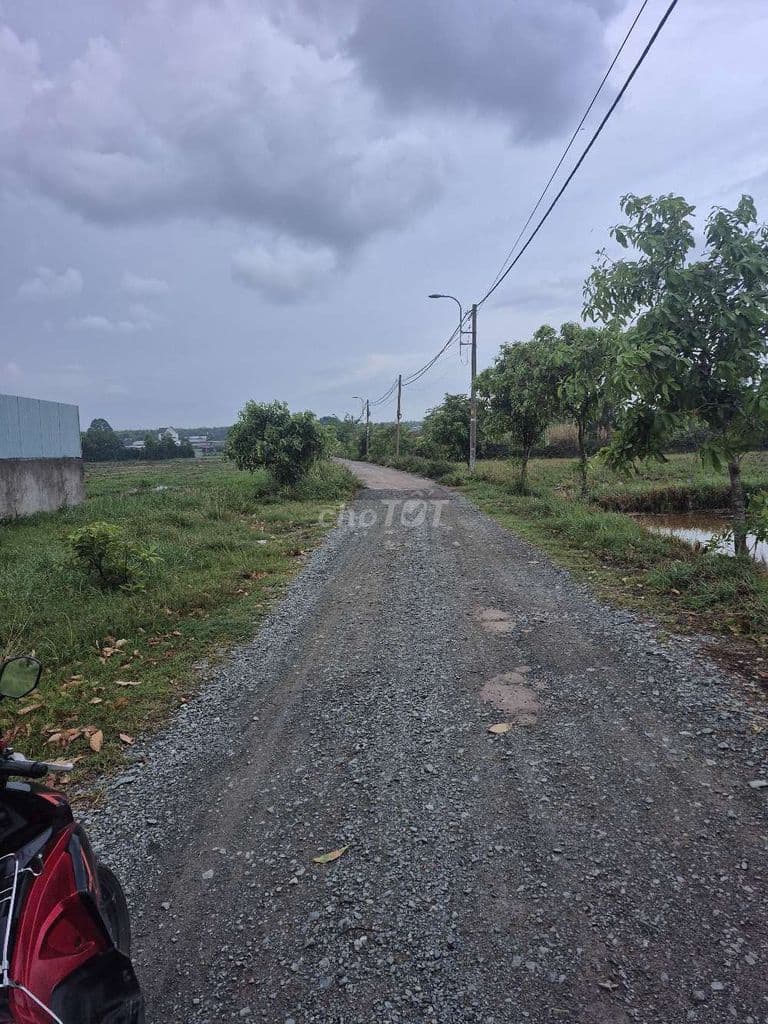 Cần Bán Đất Tân Thạnh Đông Dt: 60x93.= 5012 m2. Giá thương lượng mạnh