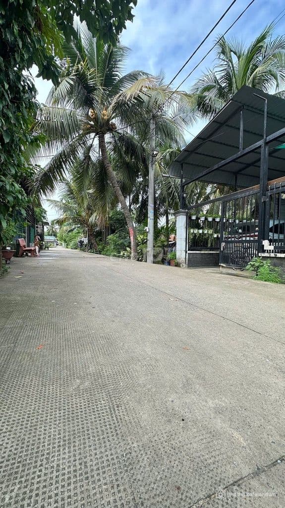 Bán đất thổ cư Đông Thạnh, TP. Hồ Chí Minh - Ảnh 3